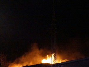 DSC2319