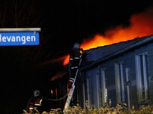 IMG_3641