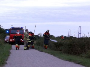 _DSC4439  