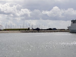 _DSC4549
