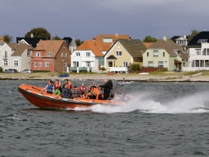 _DSC4554