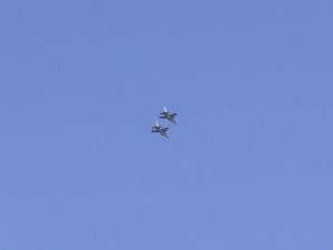 _DSC4561