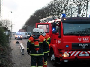 IMG_6197 