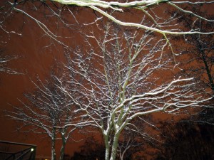 DSC06246 