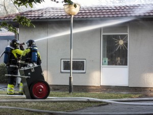 brand01  