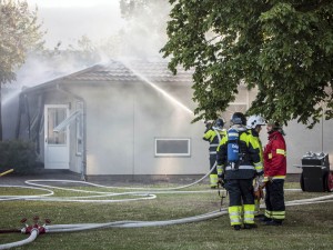 brand10  