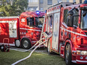 brand13  