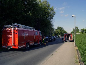 DSC2940