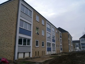 DSC1527