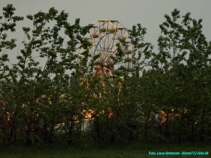 _DSC2454