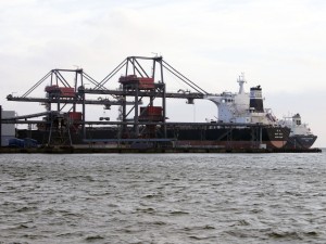 _DSC5524 