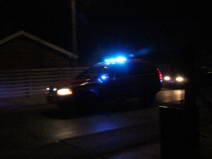 IMG_4779 