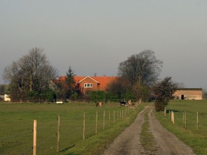_DSC5775 