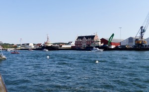 _DSC5045  