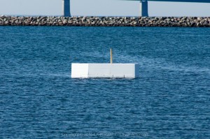 _DSC5069 