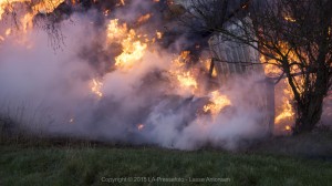 _DSC6679  