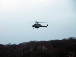 IMG_6353