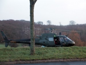 IMG_6355