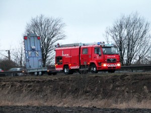 IMG_6433
