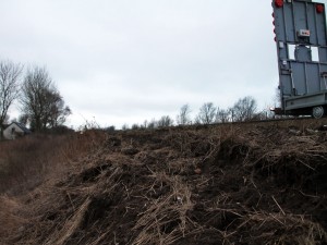 IMG_6451