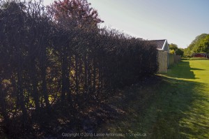 _DSC0811 