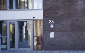 _DSC0546