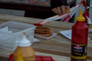_DSC5449