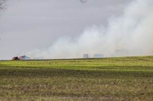 IMG 2976 