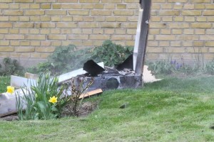 IMG 9630 21-04-2016   