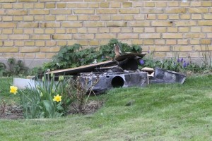 IMG 9638 21-04-2016   