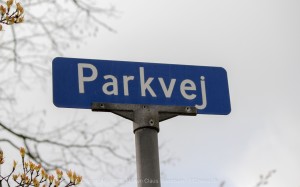 IMG 7729 