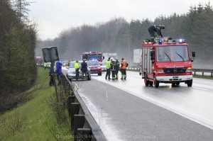 IMG 7924 