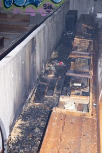  DSC7963 