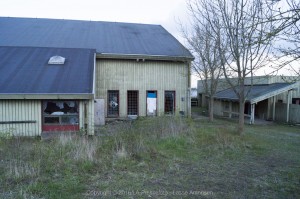  DSC7966 