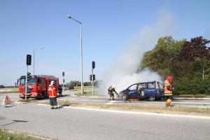 IMG 9128 26-08-2016