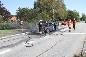 IMG 9147 26-08-2016