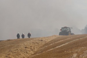 IMG 8922 25-08-2016