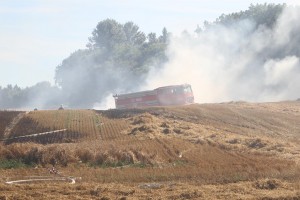 IMG 8932 25-08-2016