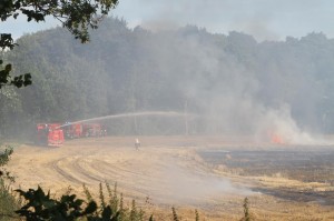 IMG 8957 25-08-2016