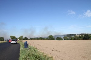IMG 9041 25-08-2016