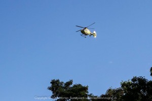 IMG 8673 16-08-2016