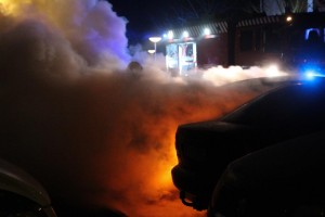 IMG 1569 11-12-2016