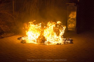 _DSC7444 