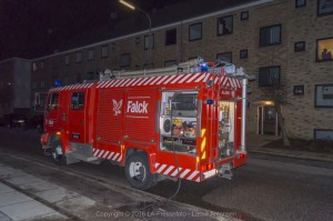 _DSC7454 