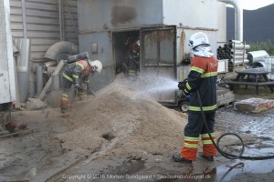 IMG 5508 04-07-2016