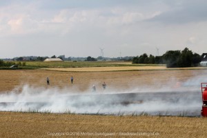 IMG 7731 29-07-2016