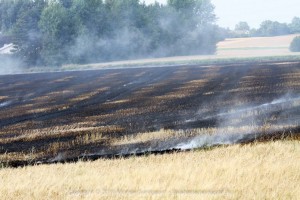 IMG 7769 29-07-2016