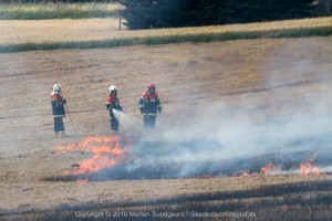 IMG 7779 29-07-2016