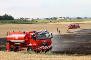 IMG 7839 29-07-2016