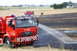 IMG 7860 29-07-2016